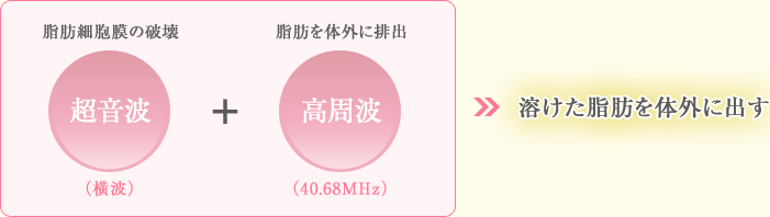 脂肪細胞膜の破壊+脂肪を体外に排出→溶けた脂肪を体外に出す